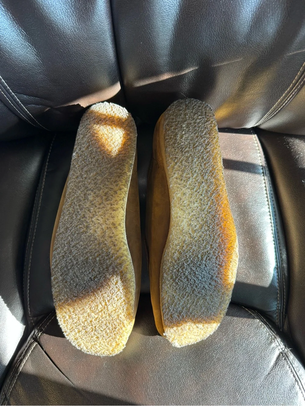 Clarks iconic wallabee